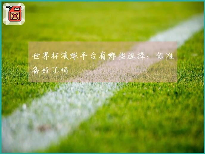 世界杯滚球平台有哪些选择，你准备好了吗