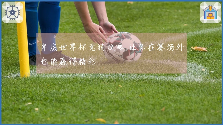 年底世界杯竞猜攻略 让你在赛场外也能赢得精彩