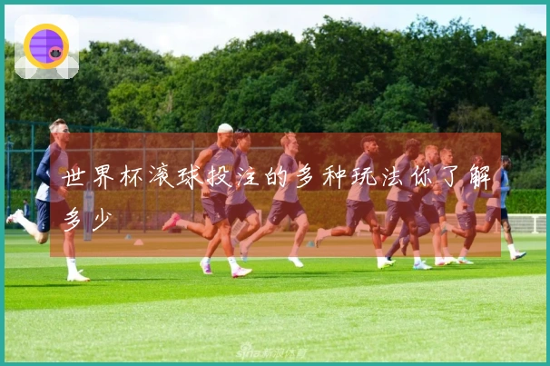 世界杯滚球投注的多种玩法你了解多少