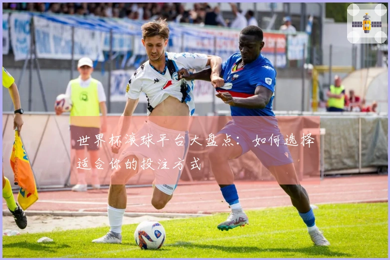 世界杯滚球平台大盘点：如何选择适合你的投注方式