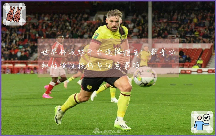 世界杯滚球平台选择指南：新手必知的投注技巧与注意事项