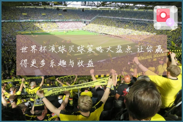 世界杯滚球买球策略大盘点 让你赢得更多乐趣与收益