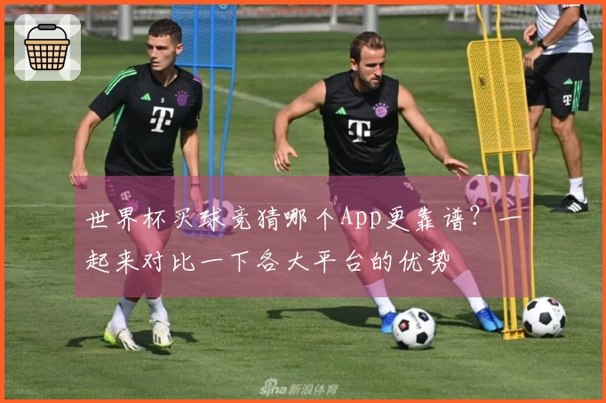 世界杯买球竞猜哪个App更靠谱？一起来对比一下各大平台的优势