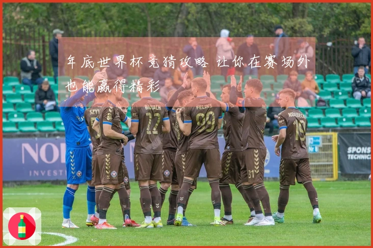 年底世界杯竞猜攻略 让你在赛场外也能赢得精彩