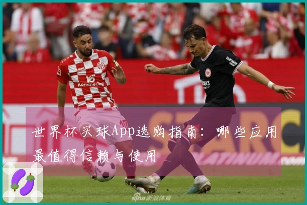 世界杯买球App选购指南：哪些应用最值得信赖与使用